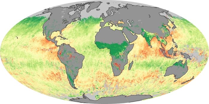 Ocean Color Data 1